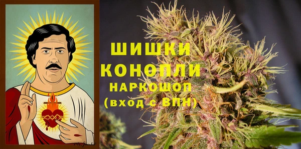спайс Нягань