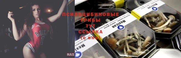 круглые Алзамай