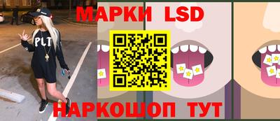 гидра Новодвинск