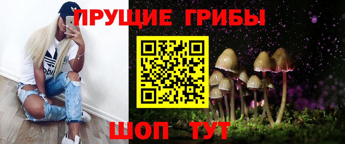 Галлюциногенные грибы прущие грибы Усть-Лабинск